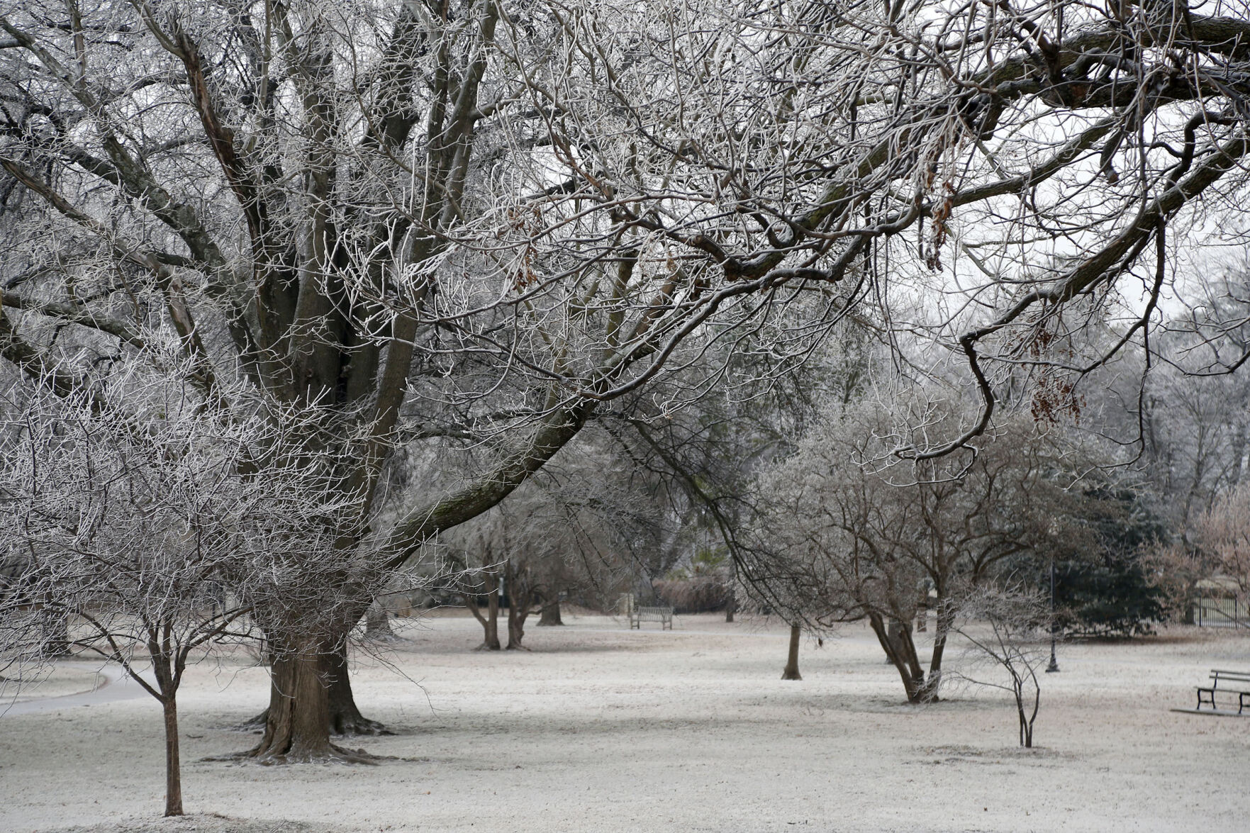 Frost Features